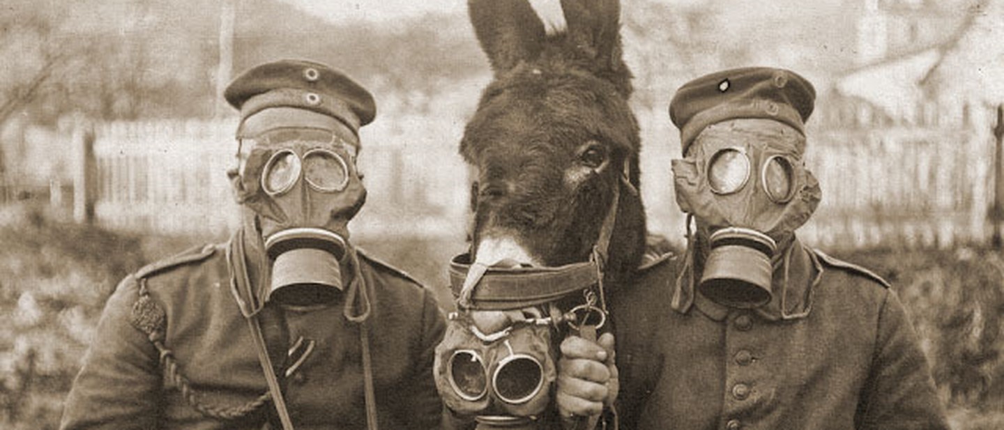 Soldiers and mule wearing gas masks copie.jpg